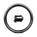 Complete rear wheel