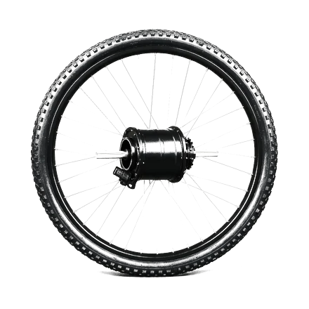 Complete rear wheel